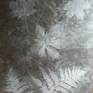 Sienų , židinių dekoravimas . +37061482282 ( Dmitrijus Igoninas )