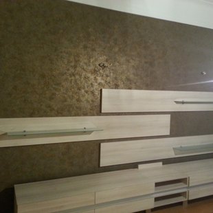 Sienų , židinių dekoravimas . +37061482282 ( Dmitrijus Igoninas )