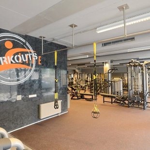 Sienų , židinių dekoravimas . +37061482282 ( Dmitrijus Igoninas )