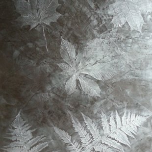 Meteore 8