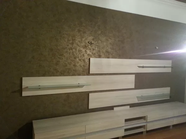 Sienų , židinių dekoravimas . +37061482282 ( Dmitrijus Igoninas )