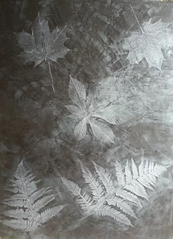 Meteore 8